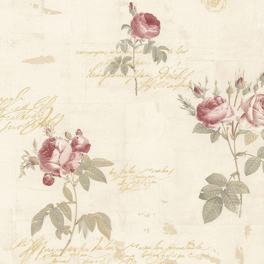 Norwall Script Rose Wallpaper Vinyl Roll (Covers 56 sq. ft.) CG28860 ...