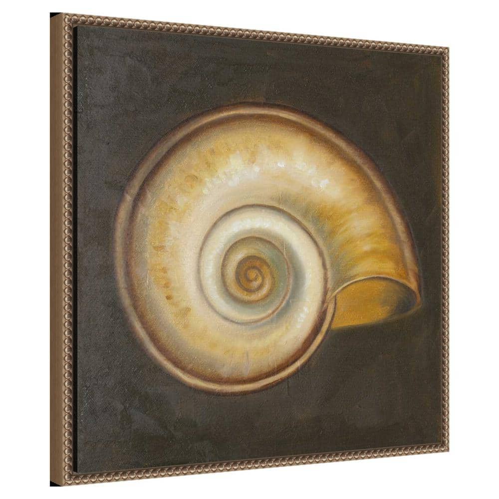 Patricia Pinto Nautical Seashell Canvas Framed Wall Art 22 x 22-in.