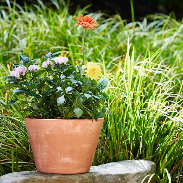 12 Standard Terra Cotta Clay Pot – Corso's Flower & Garden Center