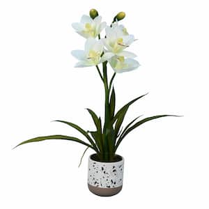19 in. White Artificial Cymidium Orchid Floral Arrangement In Pot