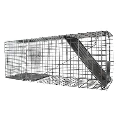 Cat Trap for Stray Cats 24x8x7 Animal Trap Live Traps for Cats Squirrel  Groundhog Opossum Rabbit Skunk Chicken and Small Animal, Pedal Triggered  Trap, Waterproof Stainless Steel & Foldable 