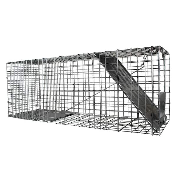 Havahart Large 1-Door Professional Live Animal Cage Trap for Raccoon, Opossum, Groundhog, and Feral Cat