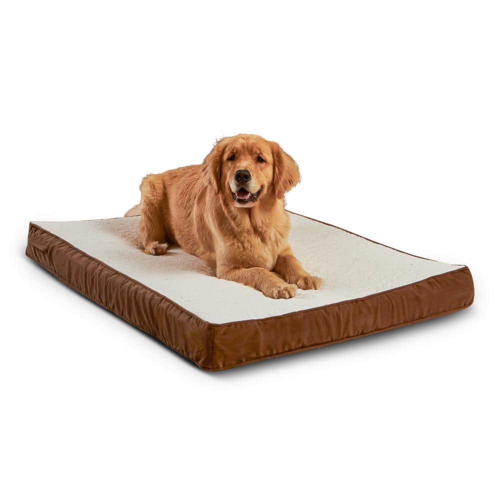 Happy Hounds Oscar Orthopedic Large Latte Dog Bed DB700L-LATTE/BIRCH ...