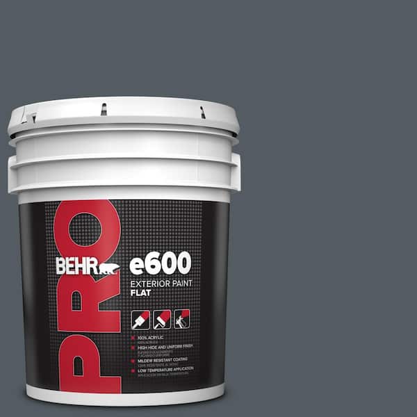 5 gal. #PPU25-21 City Rain Flat Exterior Paint