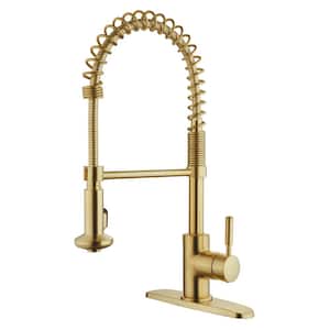 Casmir Single Handle Spring Coil Pull Down Sprayer Kitchen Faucet in Matte Gold
