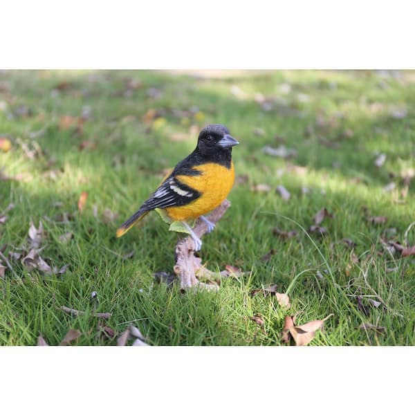 HI-LINE GIFT LTD. Oriole on Branch Garden Statue 87758-D - The
