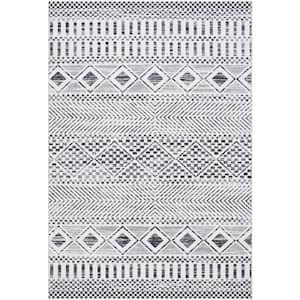 Lavable Black /White 4 ft. x 6 ft. Global Indoor Area Rug