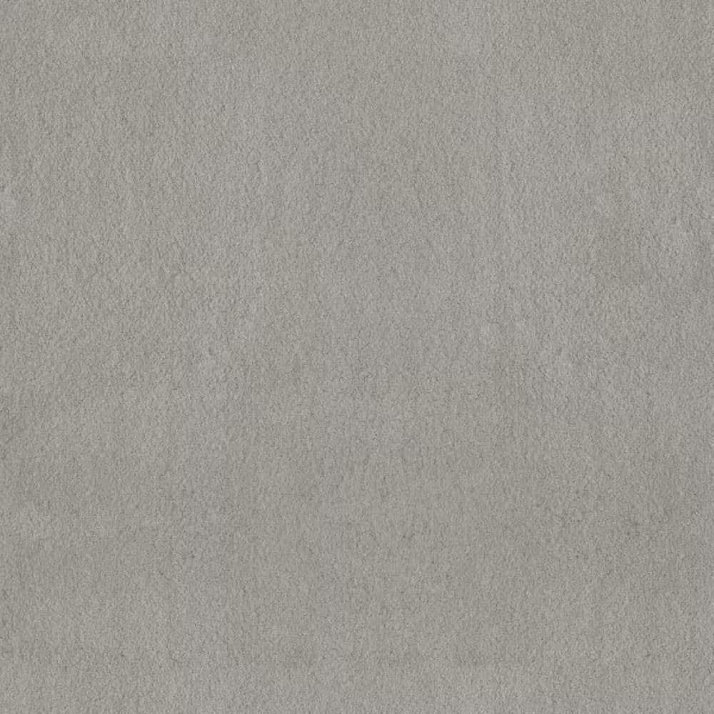 8 in. x 8 in. Texture Carpet Sample-Dreamy Daze II-Color Garden price history on PriceWatchPro