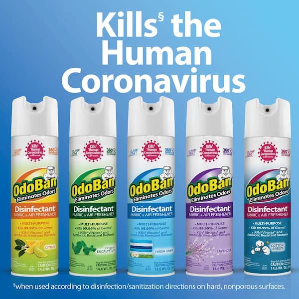 14.6 oz. Eucalyptus Multi-Purpose Disinfectant Spray, Odor Eliminator, Sanitizer, Fabric and Air Freshener (4-Pack)
