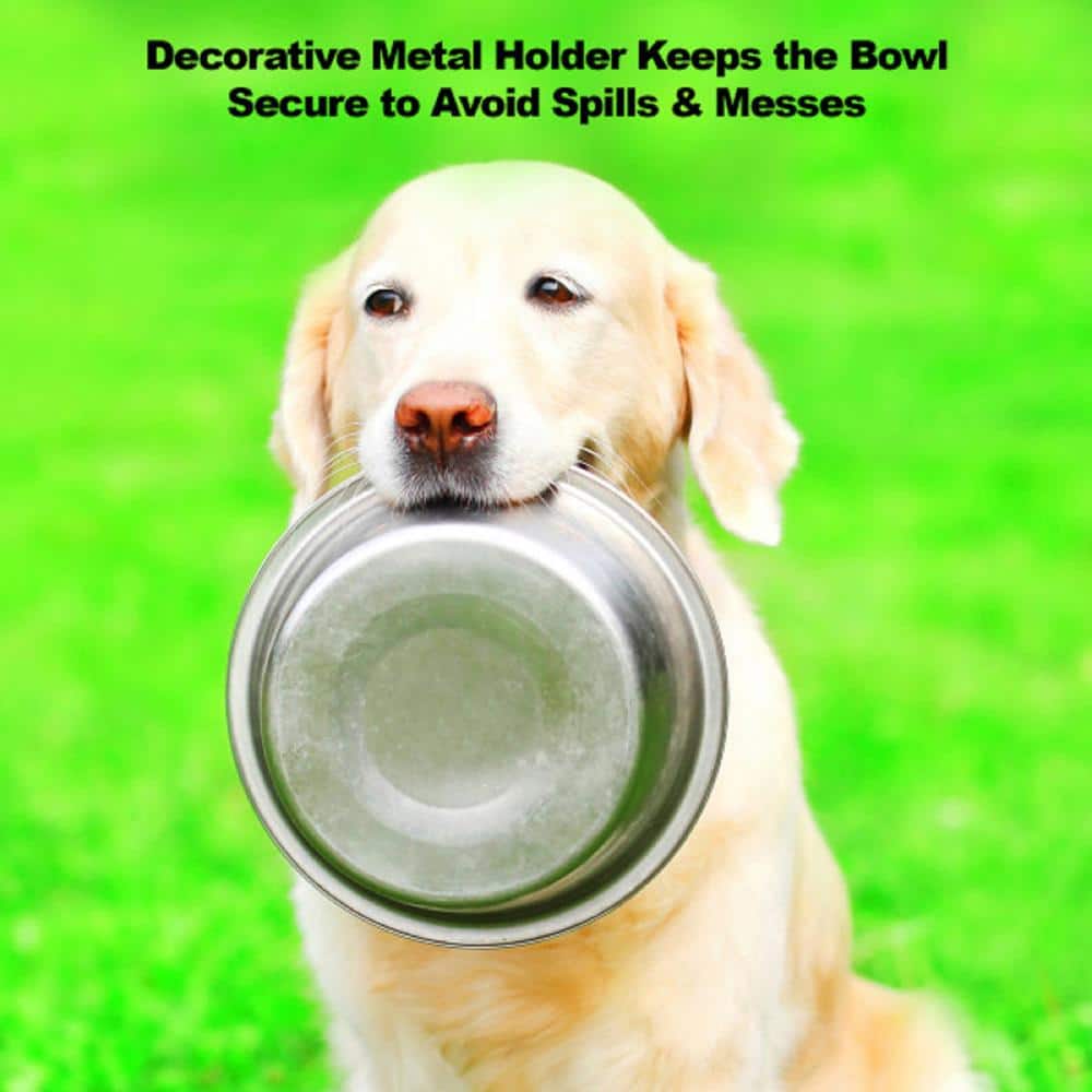 Stainless Steel Elevated Pet Bowls with Black Metal Stand
