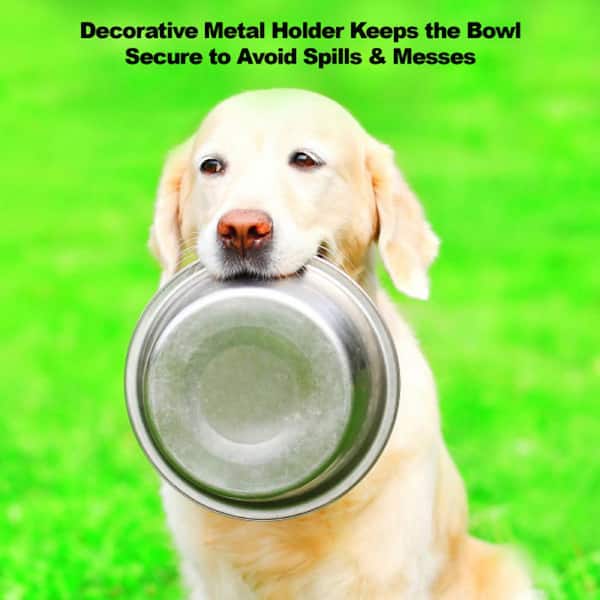 https://images.thdstatic.com/productImages/d2b0ba0c-6993-4347-b860-007f428044ed/svn/petmaker-dog-food-bowls-hw3210163-fa_600.jpg