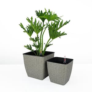12 in. L x 12 in. W x 8 in. H 3 qts. Natural Hand Woven Wicker Self-watering Planter Thin Square (2-Pack) Outdoor