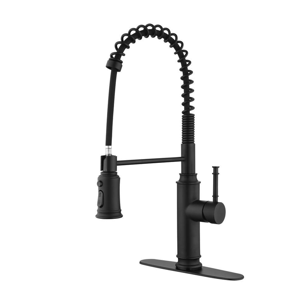 LORDEAR HighArc Single Handle Pull Down Sprayer Kitchen Faucet with