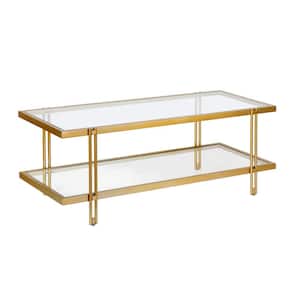 Inez 45 in. Brass/Clear Rectangle Glass Top Coffee Table with Shelf