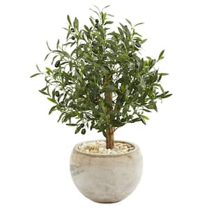 Indoor 31-In. Olive Artificial Tree in Bowl Planter