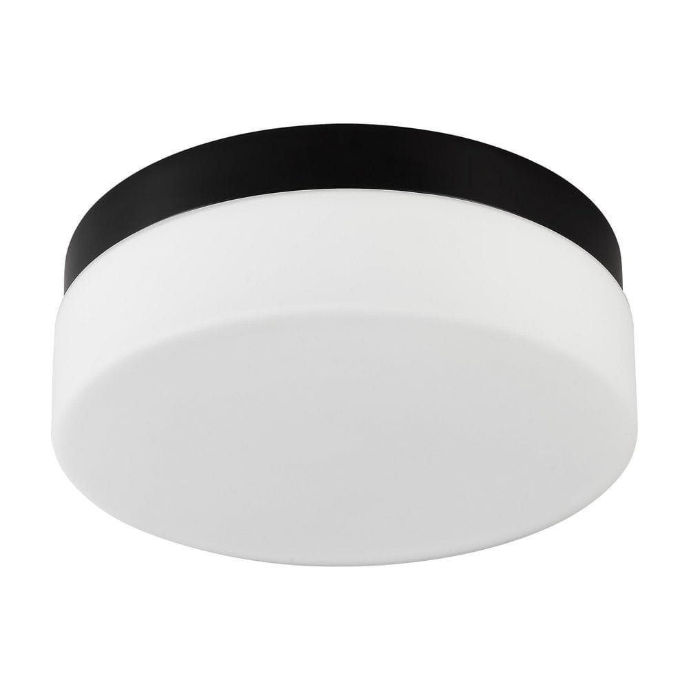12 in. Round Modern Matte Black Integrated LED Flush Mount Ceiling Light, 5CCT for Kitchen, Bedroom, Hallway price history on PriceWatchPro