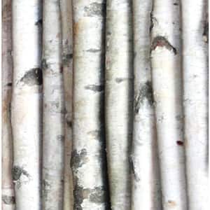 Decorative White Birch Poles 3 ft. in Length 1.5-2.5 in. Dia. (Set of 4)