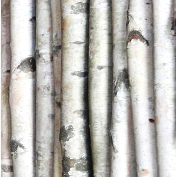 1.5-2.5 in. Width 8 ft. Height Decorative White Birch Pole (Set of 3)
