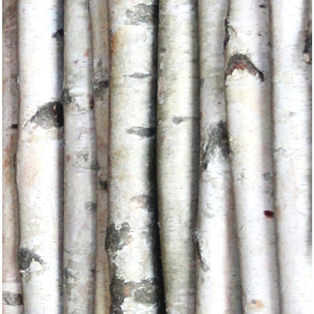 3-4 in. Width 8 ft. Height Decorative White Birch Pole (Set of 2) price history on PriceWatchPro