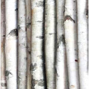3-4 in. Width 8 ft. Height Decorative White Birch Pole (Set of 2)