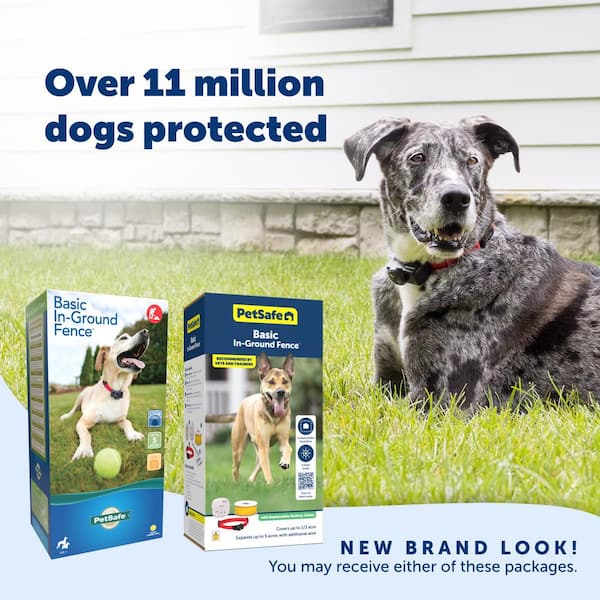 Petsafe in ground dog fence best sale