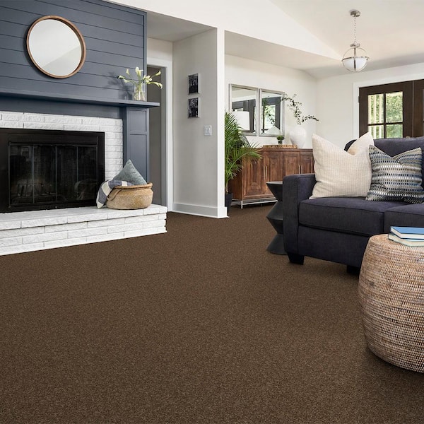 Alpine - Adventure - Brown 17.3 oz. Polyester Texture Carpet - Installation Required
