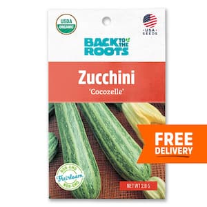 Organic Summer Cocozelle Zucchini Squash Seed (1-Pack)