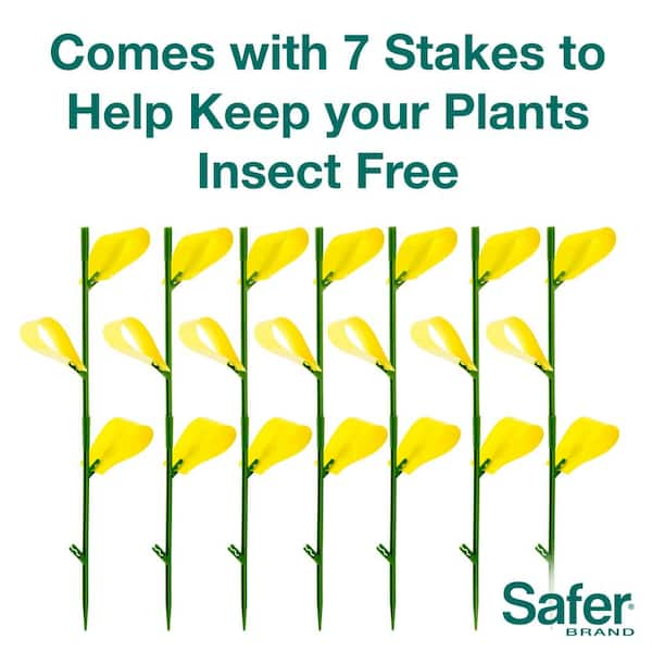 Classy Casita Sticky Traps- House Plant Sticky Stakes, Plant Bug Sticky  Traps Indoor, Sticky Gnat Traps for Plants, Yellow Sticky Traps for Flying  Plant Insect, 24-Pack Plant Sticky Traps