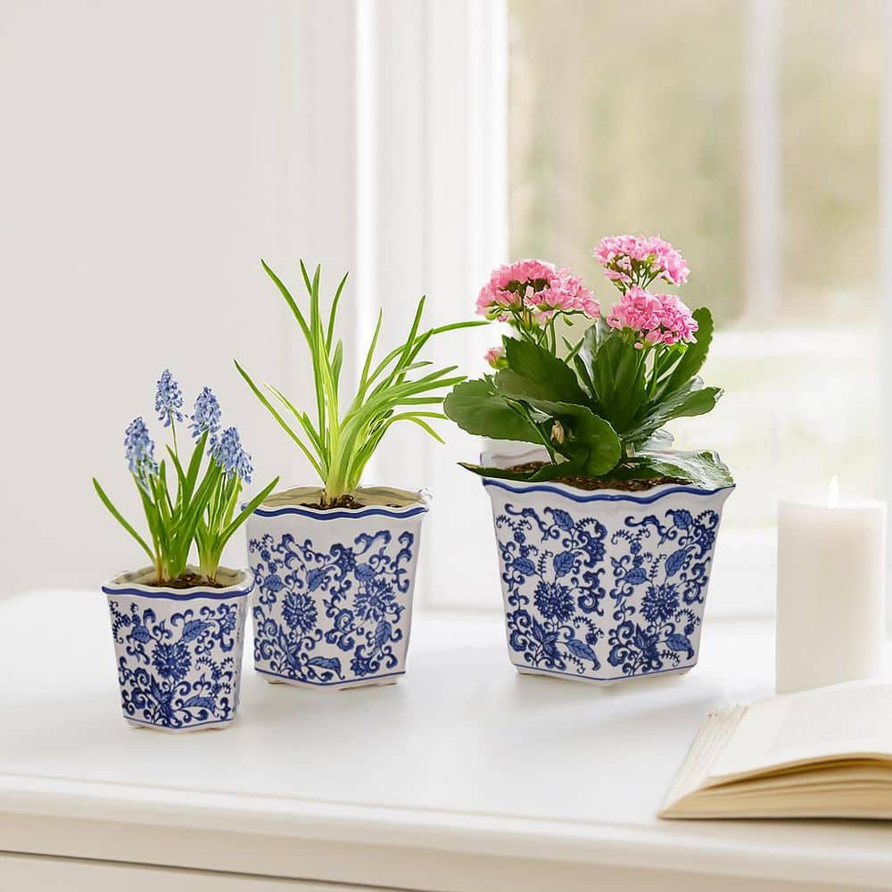 blue-liv-skye-plant-pots-20229