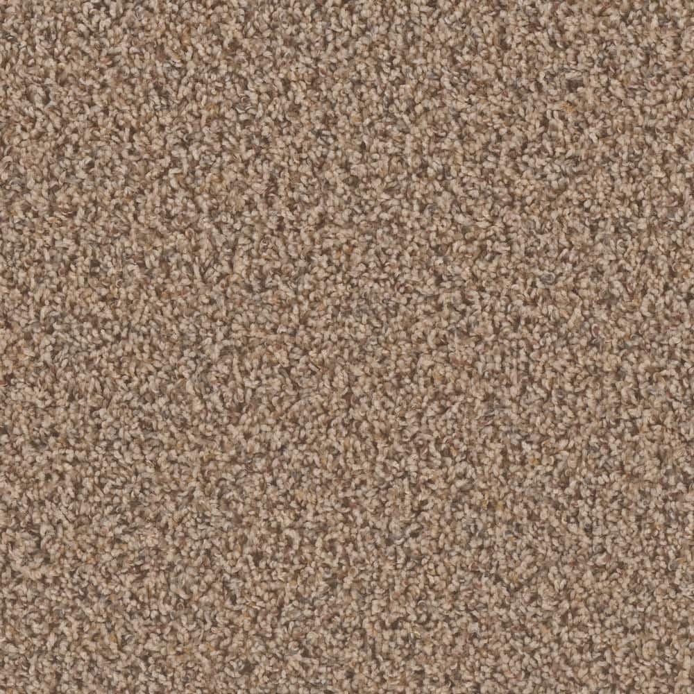 8 in. x  8 in. Texture Carpet Sample - Dream Wish -Color Aim price history on PriceWatchPro