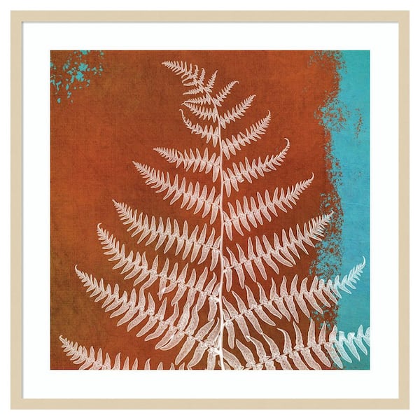 Amanti Art Fern Abstract Study II by Dianne Poinski 1 Piece Framed Giclee Nature Art Print 33 in. x 33 in.