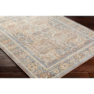 Lillian Ice Blue/Brown 5 ft. x 7 ft. Indoor Machine-Washable Area Rug