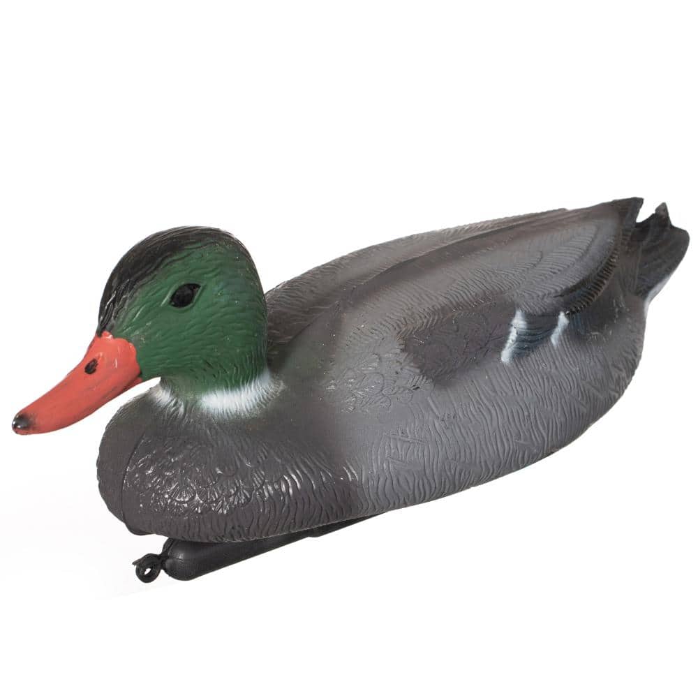 Realistic Resting Duck Decoy for Hunting Low-Profile Design Waterfowl Attractor for Land, Shoreline and Marsh price history on PriceWatchPro