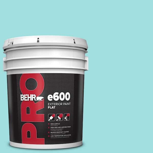 BEHR PRO 5 Gal. #P460-2 Tropical Waterfall Flat Exterior Paint