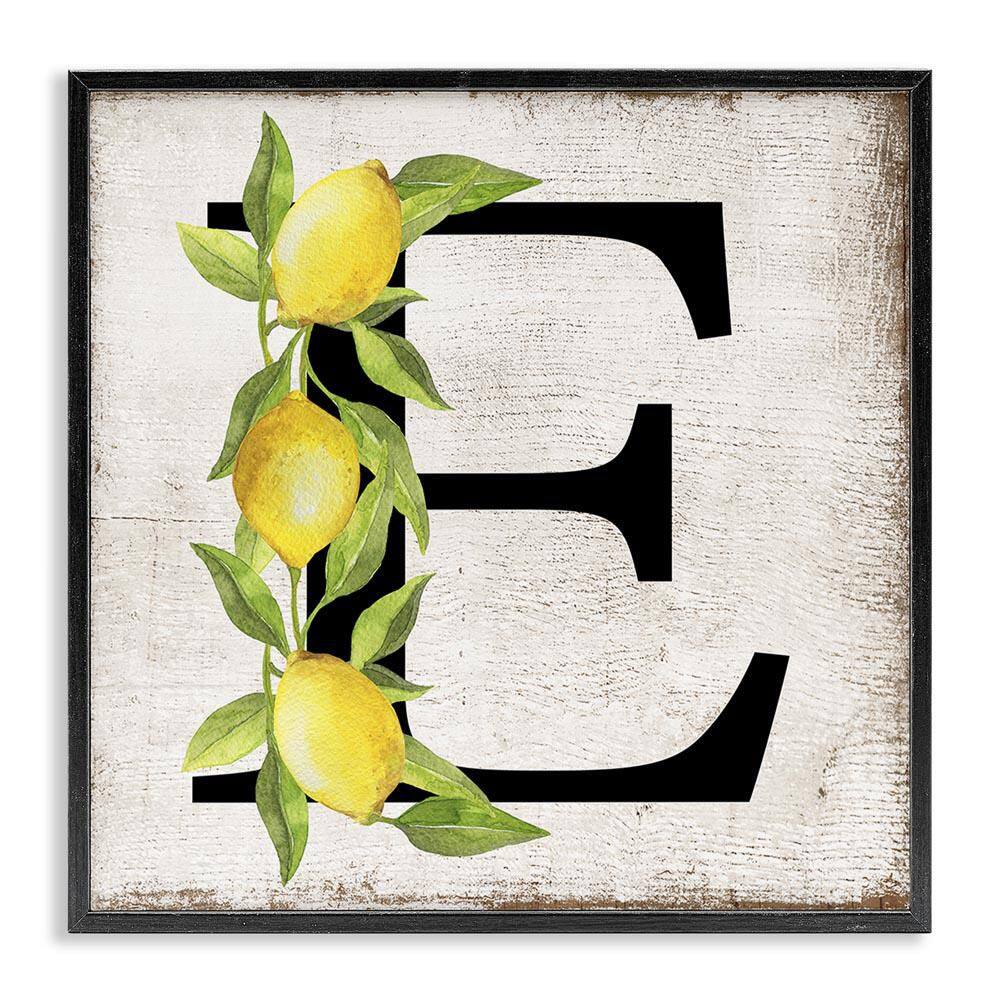 E with Lemon Letter by Creatif Belle Black Framed Food Giclee Art Print 24 in. x 24 in. price history on PriceWatchPro