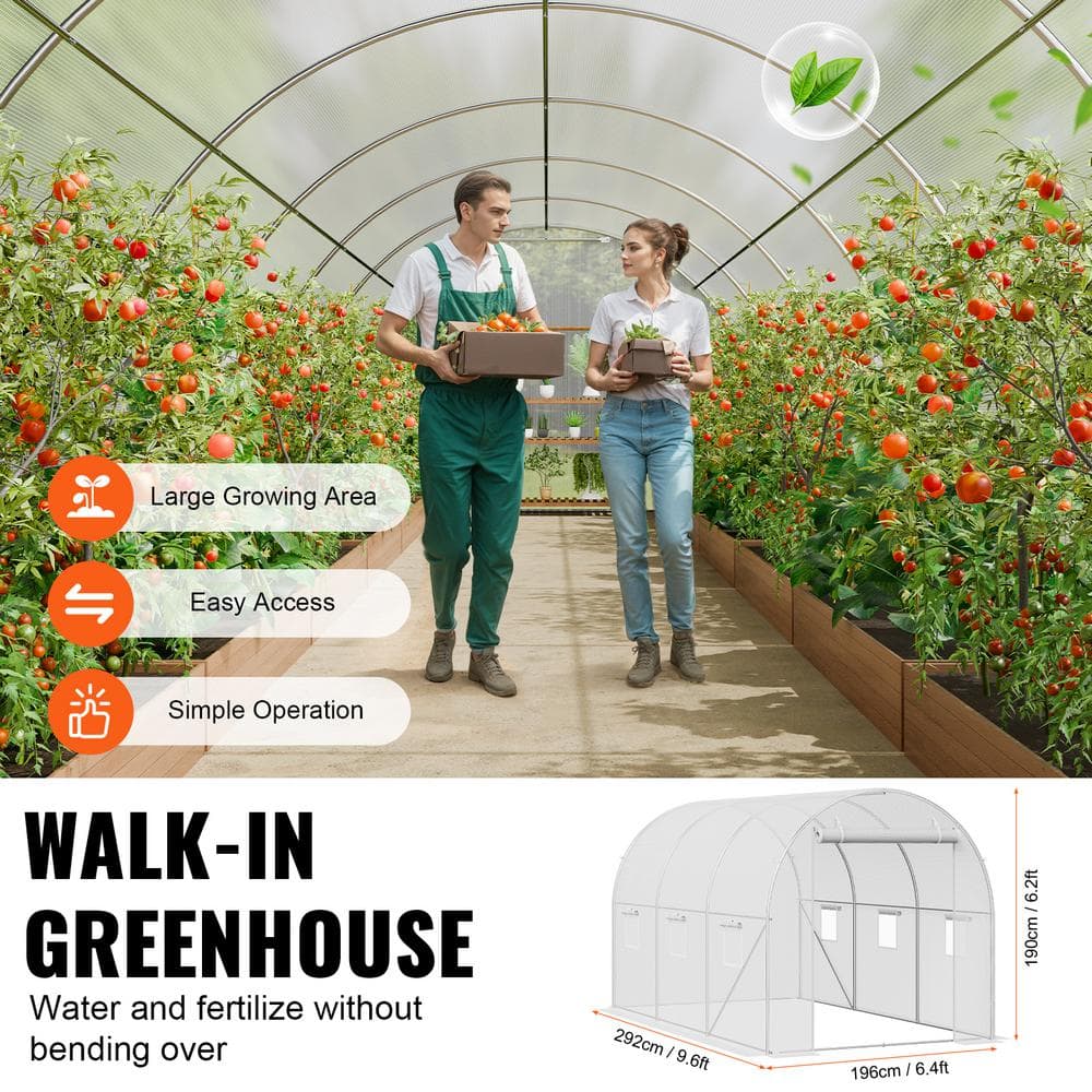 Large White Walk-In Tunnel Greenhouse with Galvanized Steel Frame