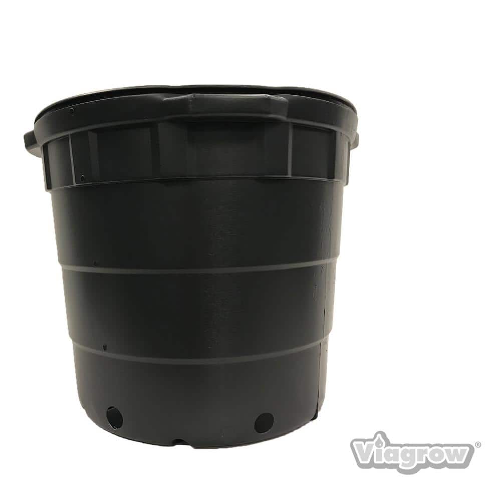 The High-End Makeover for Plain Plastic Plant Pots  Plastic plant pots,  Cheap planters, Plastic plants