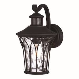 Abigail 7.5 in. W 1-Light Black Motion Sensor Dusk to Dawn Outdoor Wall Lantern with Clear Glass