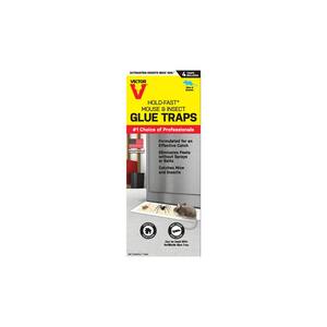 Hold-Fast Disposable Mouse and Insect Glue Board Traps (4-Pack)
