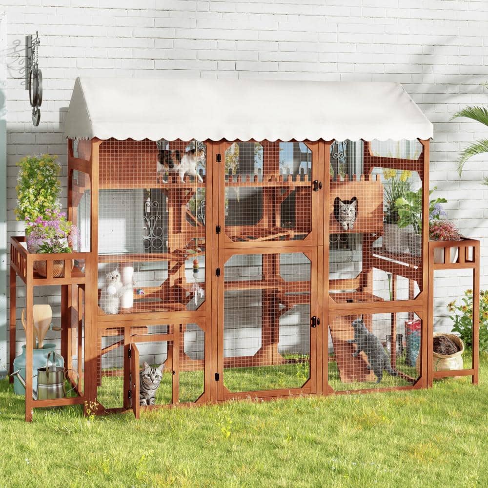9 ft. W x 3 ft. D Greenhouse Outdoor Cat Enclosure with 2 Plant Stands,Climbing Ramps and Wire Mesh,Brown price history on PriceWatchPro