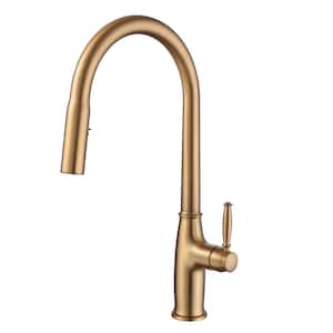Single Handle Pull-Down Sprayer Kitchen Faucet with Flexible and Power Clean in Brushed Gold