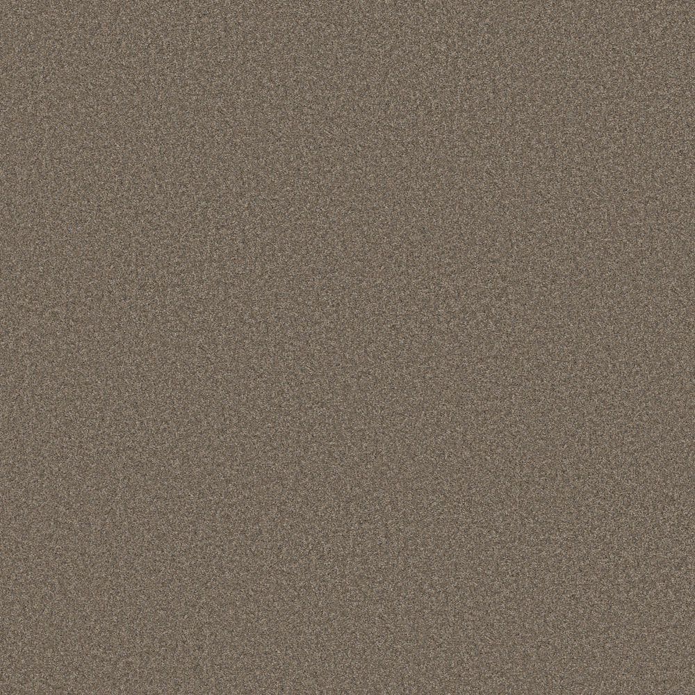 8 in. x 8 in. Texture Carpet Sample - Sculpture Soft II - Color Ball Glove price history on PriceWatchPro