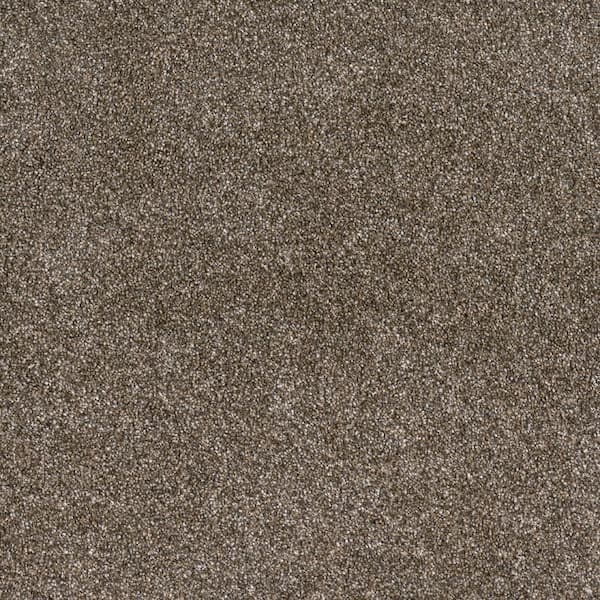 Have a question about Lifeproof 8 in. x 8 in. Texture Carpet Sample