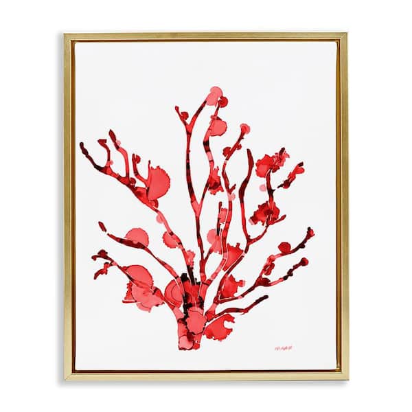 Coral with Splashes by Patti Mann Gold Floater Frame Coastal Graphic Art Print 21 in. x 17 in.