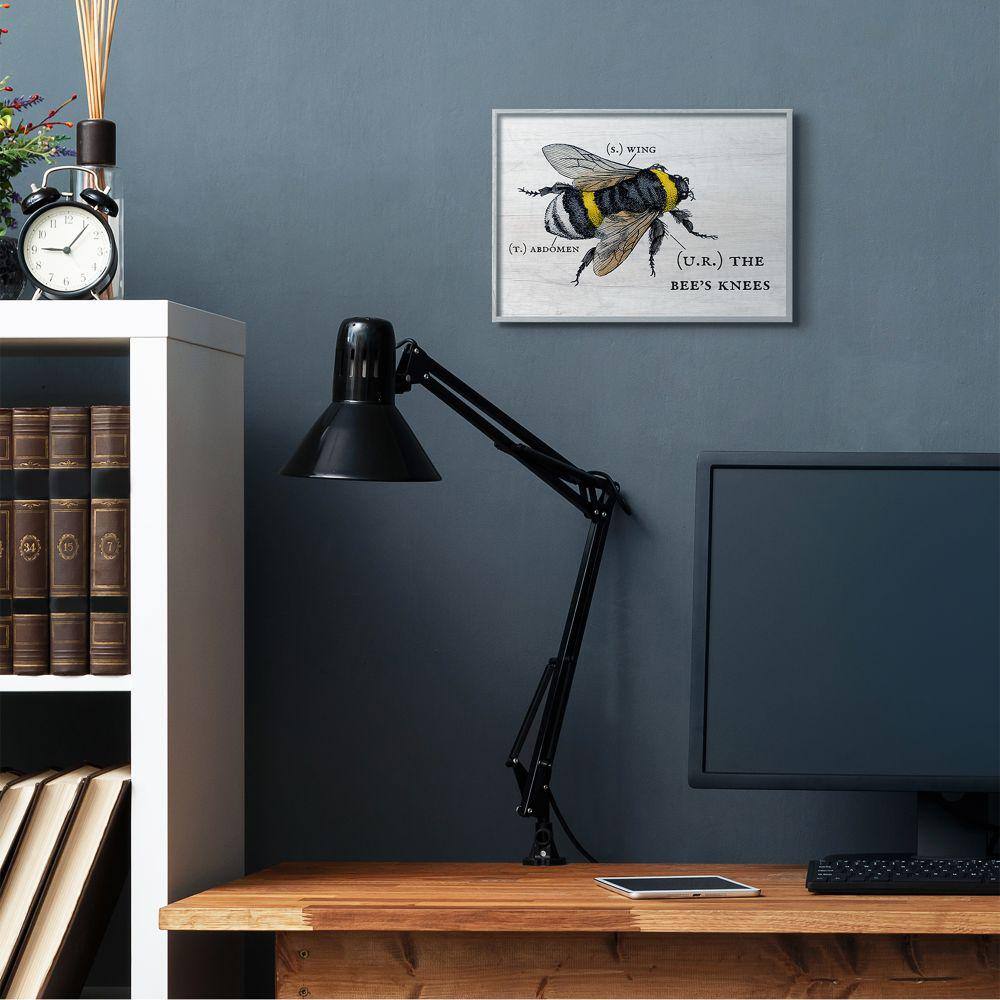Gray Framed Bee Anatomy Print on Canvas, 11" x 14"