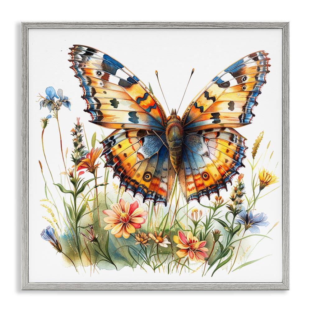 Summer Garden and Butterfly by LSR Design Studio Gray Framed Animal Giclee Art Print 24 in. x 24 in. price history on PriceWatchPro