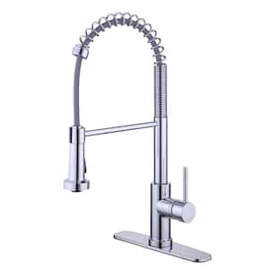 Paulina Single-Handle Spring Neck Pull Down Sprayer Kitchen Faucet in Chrome