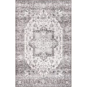 Ari Faded Spill-Proof Machine Washable Gray 4 ft. x 6 ft. Area Rug