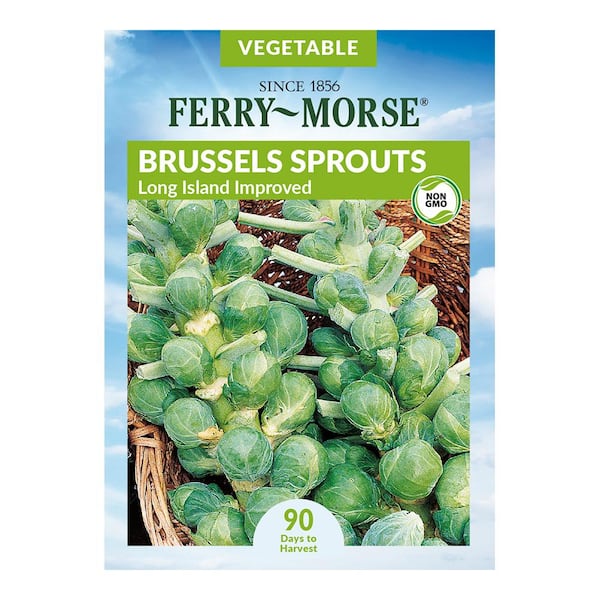 Ferry-Morse Brussel Sprouts Long Island Improved Vegetable Seeds