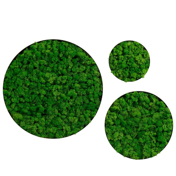 Afoxsos Delicate Iron Metal Frame Green Round Framed Moss Wall Decor Metal Work Fusion of Nature and Art, (Set of 3)